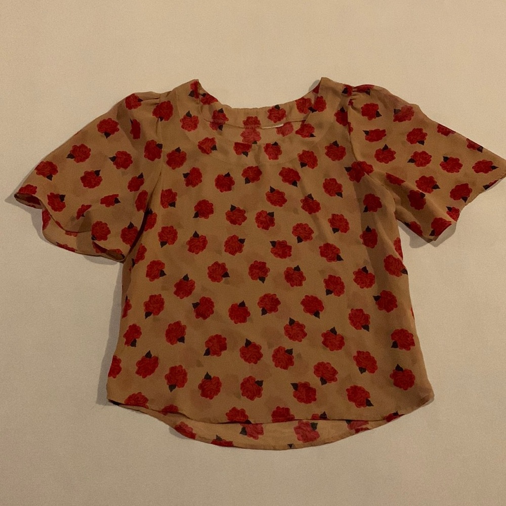 Sheer Rose Print Blouse